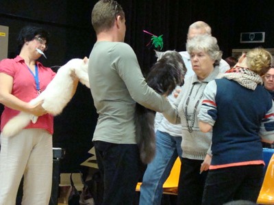 20121021_211 (Expo)